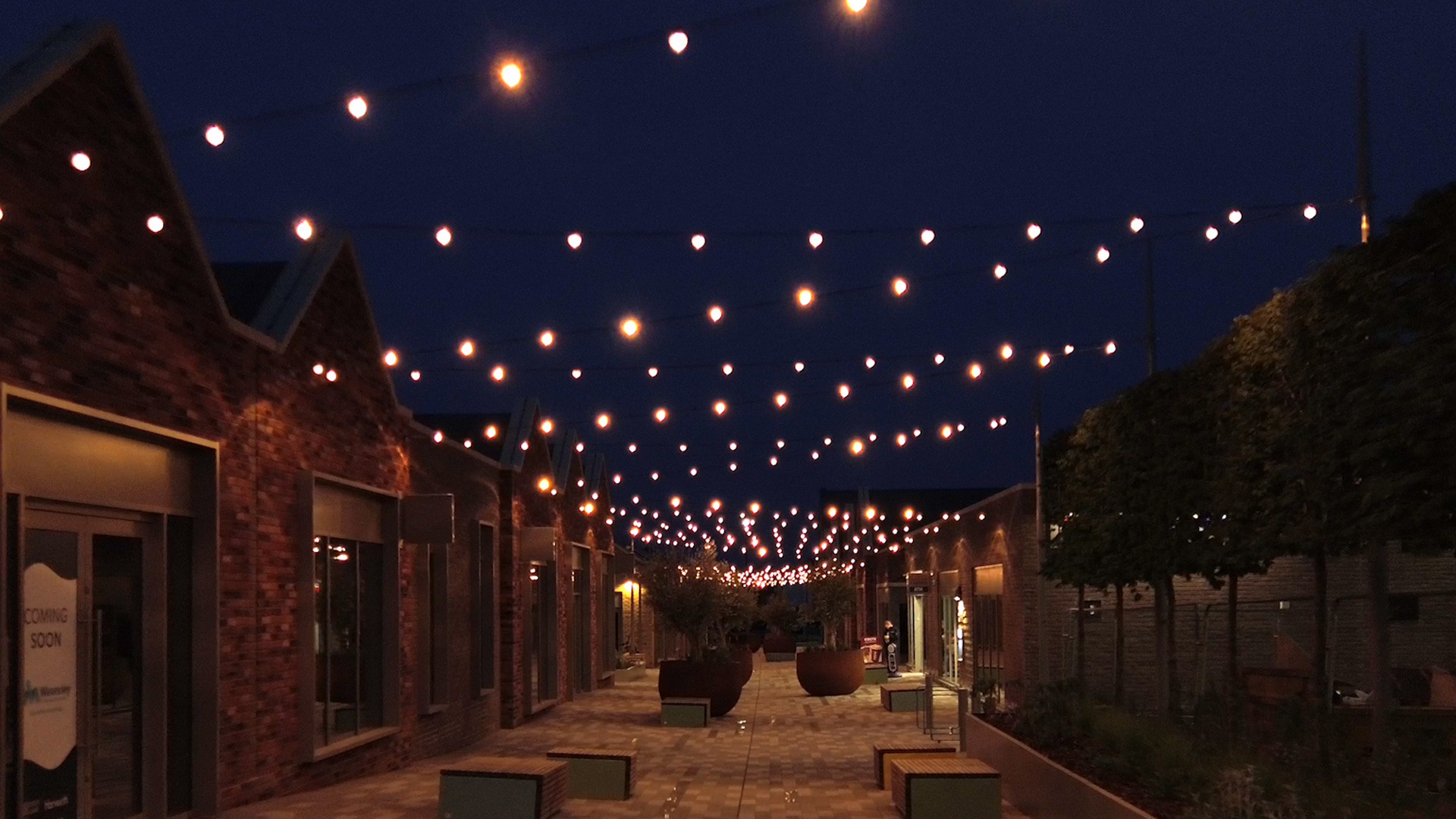 MaxiLED Large Globe High Output on the Olive Lane festoon canopy